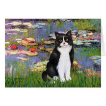 Lilies 2 - Chat noir et blanc
