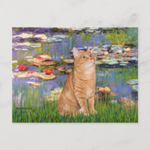 Lilies 2 - Orange Tabby Katze 46 Postkarte