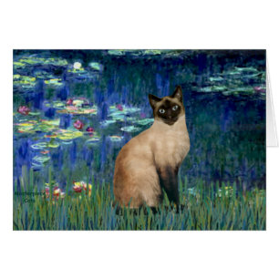 Lilies 5 - Point de phoque Chat siamois