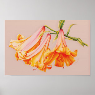 "Lilies" Billardposter-Druck Poster