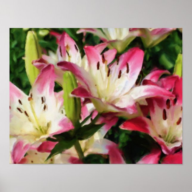 Lilies Blume Foto Malerei Poster (Vorne)