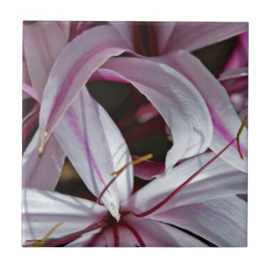 Lilies Fliese