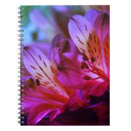 Lilies Floral Journal oder Notebook Notizblock