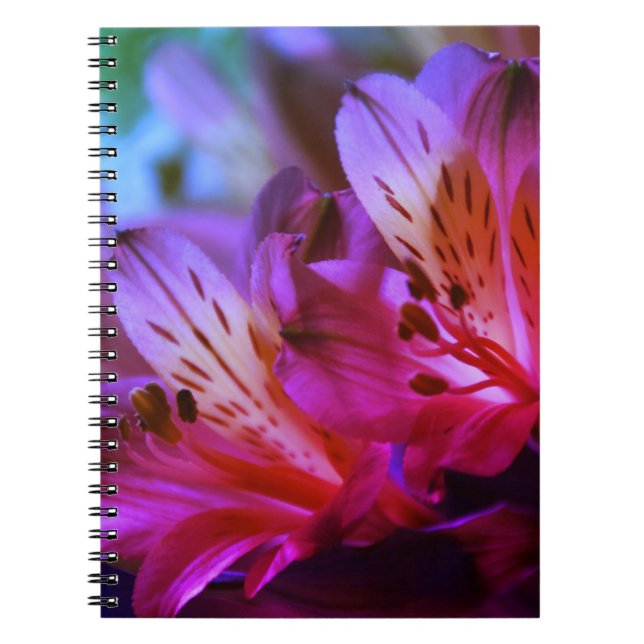 Lilies Floral Journal oder Notebook Notizblock (Vorderseite)