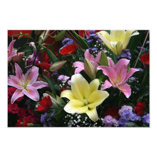 Lilies Fotodruck (Vorne)