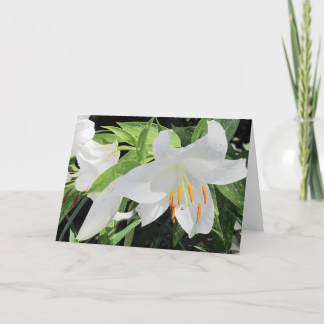 Lilies Greeting Card Karte (Vorderseite)