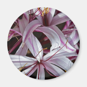 Lilies Magnet