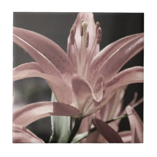 Lilies-Mute Tones von Shirley Taylor Fliese
