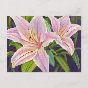 Lilies Pflanze Postkarte