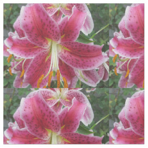Liliestargazer-lila Blume Stoff