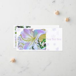 Lilium "Casa Blanca"[Flachleitkarte] 案 内 状 Ankündigung