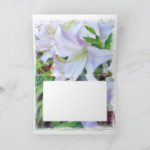 Lilium "Casa Blanca"[Grußkarte]