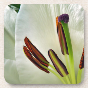 Lilium Oriental White Getränkeuntersetzer