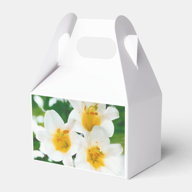 Liliumkandidat Geschenkschachtel (Vorderseite)