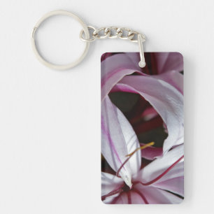 Liliums
