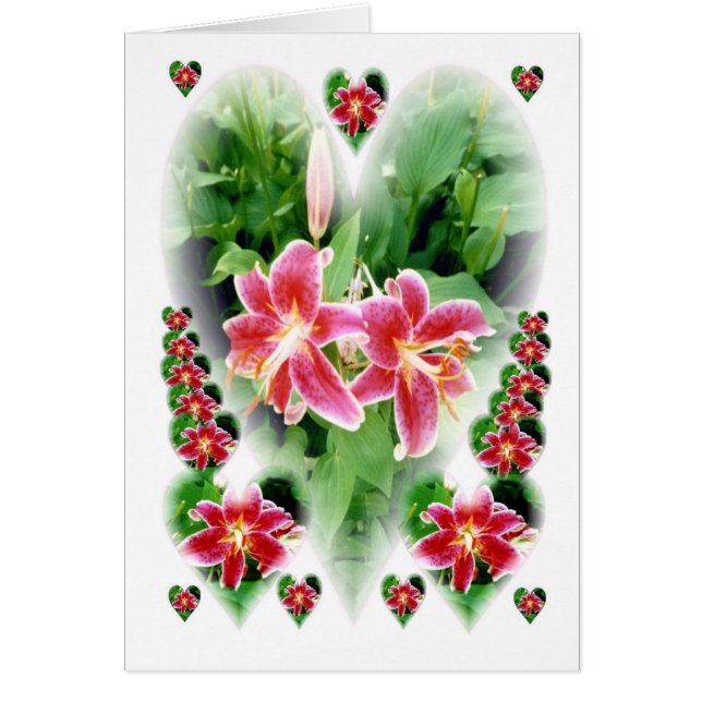 Lillies du Coeur (Devant)