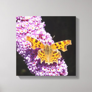 Lillische Blume mit einem Schmetterling darauf Leinwanddruck