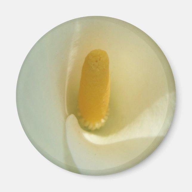 Lilly Center Magnet (Vorne)