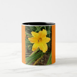 Lilly Cup Zweifarbige Tasse