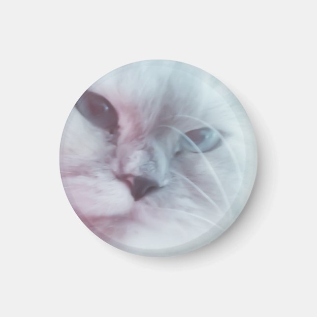 Lilly Magnet (Vorne)