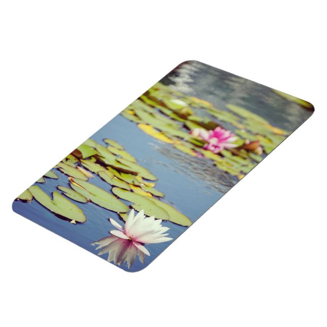 Lilly Pond Blume Magnet (Linke Seite)
