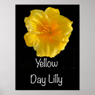 Lilly-Poster zum gelben Tag 12"x16" Poster