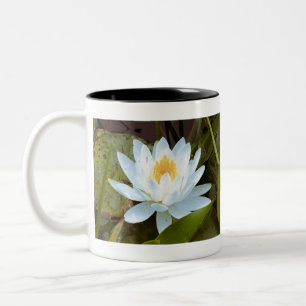 Lilly Zweifarbige Tasse