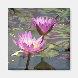 Lillypad Magnet