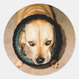 Lilo in Tire Runder Aufkleber