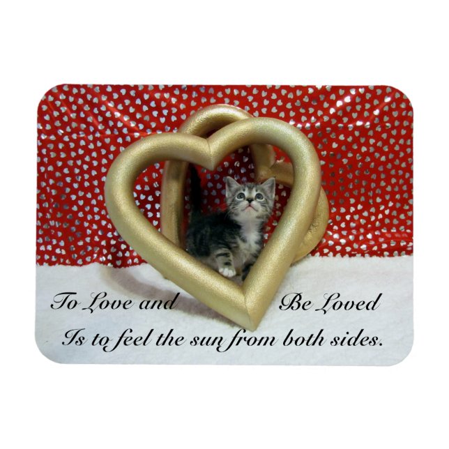 Lilo'The Cat's Loving Hearts Magnet (Horizontal)
