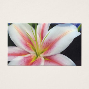 Lily