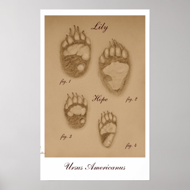 Lily and Hope Paw Print Poster (Vorne)