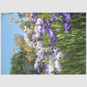 Lily and Iris Garden Poster Seidenpapier