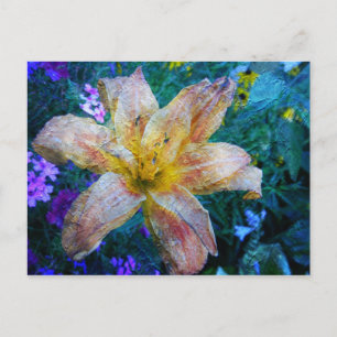 Lily-Art-Postkarte Postkarte