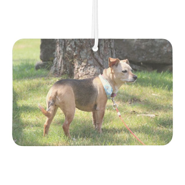 Lily Autolufterfrischer (Vorderseite)