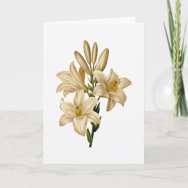 Lily Beileid Grußkarte Karte (Vorderseite)