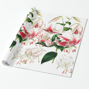 Lily-Blumen-Geschenkpapier Geschenkpapier
