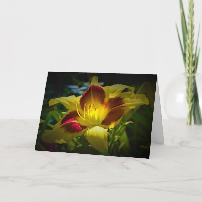 Lily, carte (Devant)