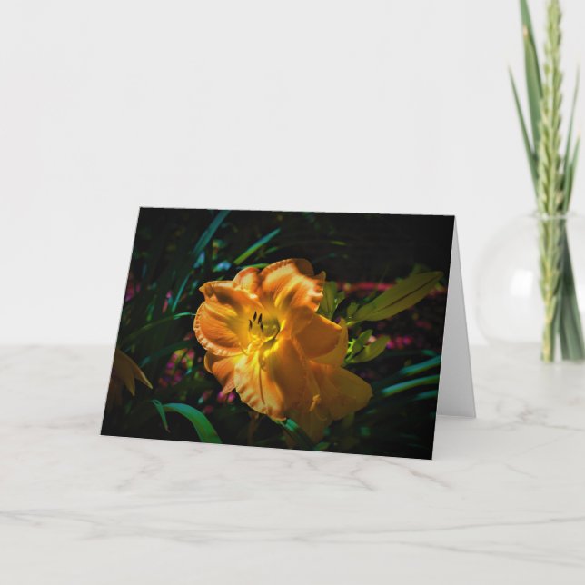 Lily, carte (Devant)