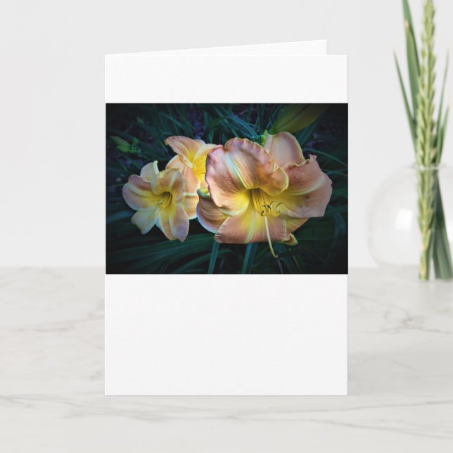 Lily, carte (Devant)