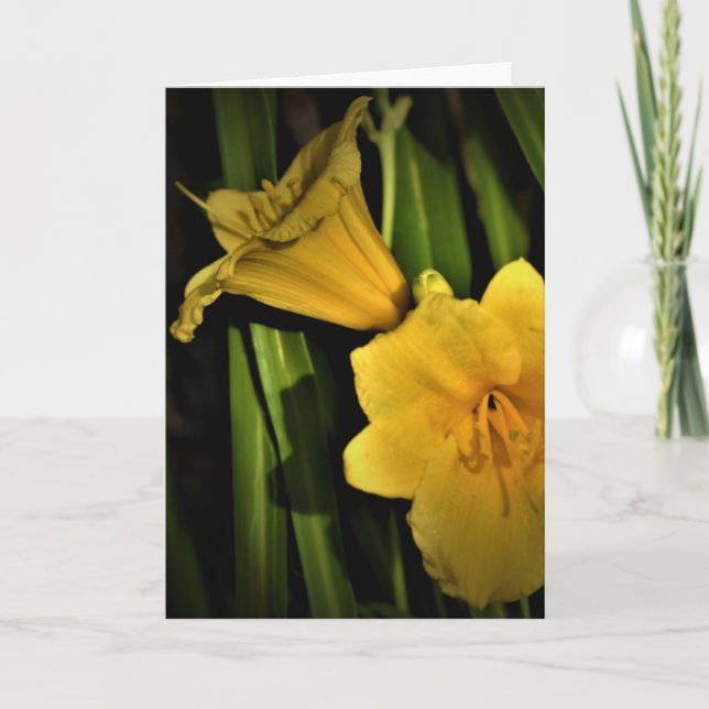 Lily, carte (Devant)
