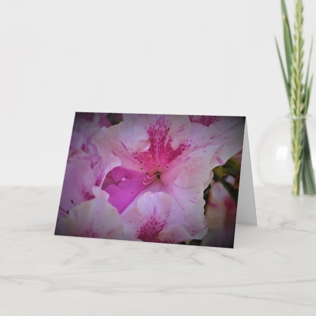 Lily, carte (Devant)