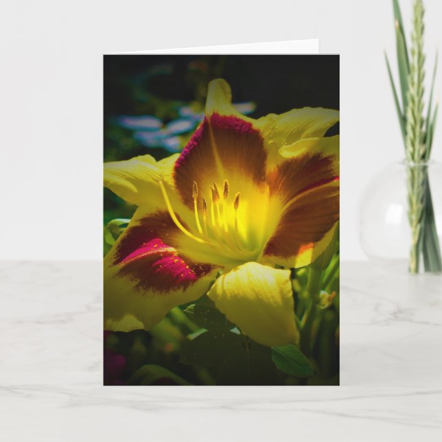 Lily, carte (Devant)