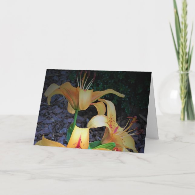 Lily, carte (Devant)