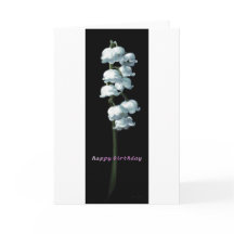 LILY DE LA CARTE D'ANNIVERSAIRE DE LA VALLÉE