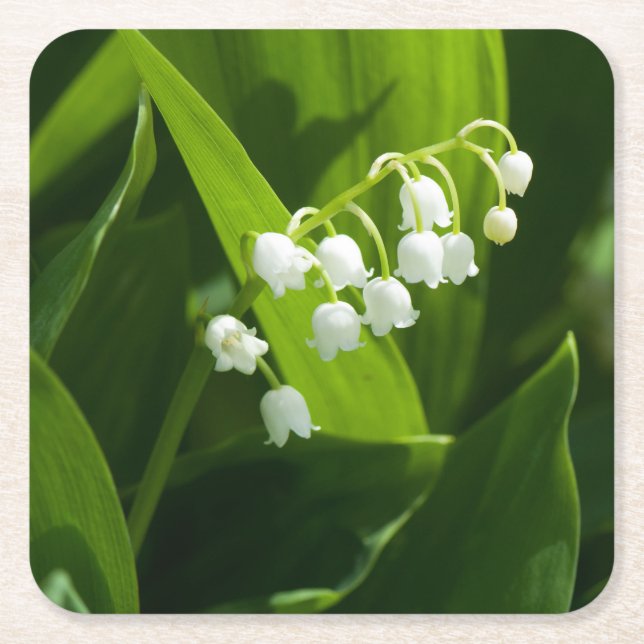 Lily der Blume Rechteckiger Pappuntersetzer (Vorderseite)