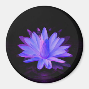 Lily der Liebe... Magnet