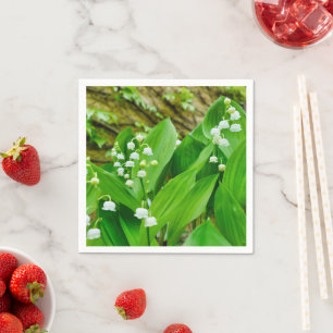 Lily des serviettes en papier de la vallée