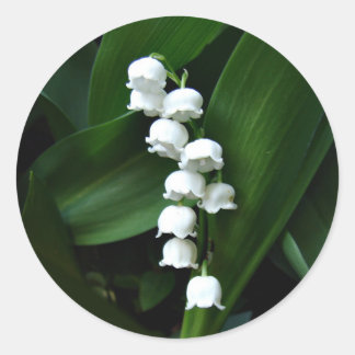 Lily des Valley-Aufklebers Runder Aufkleber