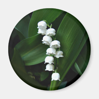 Lily des Valley-Magneten Magnet